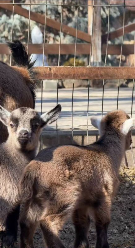 � ����� ������ ��������� ����������! �� ���� ��������� ����������� ������� - ������� � �������