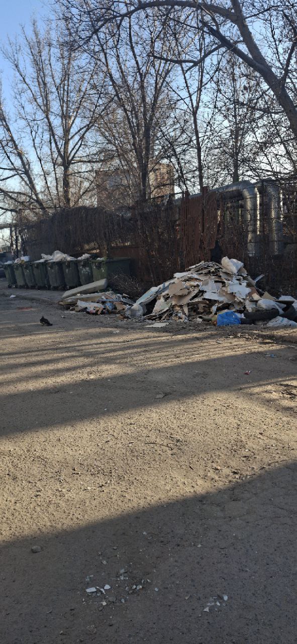 В поселке Орджоникидзе серые возчики превратили мусорные баки в свалку В поселке Орджоникидзе серые возчики превратили мусорные баки в свалку