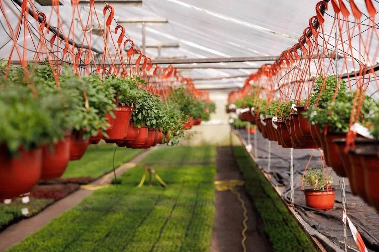 Креативные индустрии Дона: Как малый бизнес создает большую экономику Креативные индустрии Дона: Как малый бизнес создает большую экономику