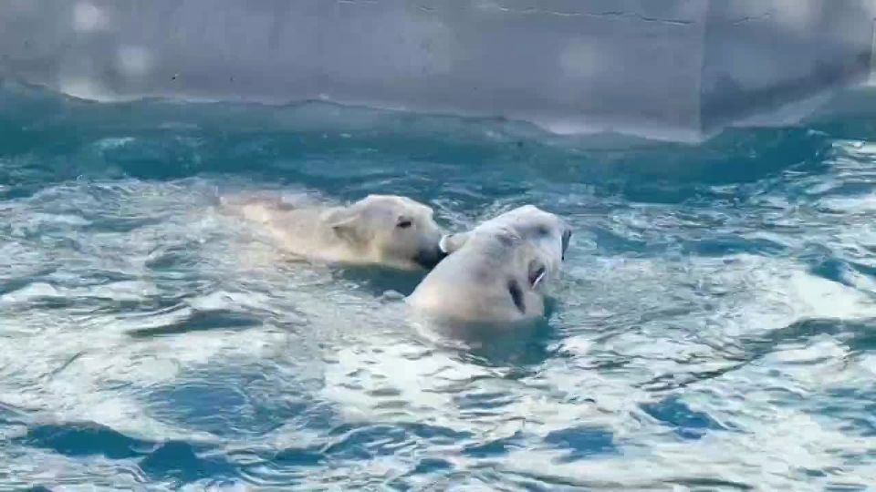 ������ ����, ������! ����������, ��� ����� ������� ���������� ����� ������� � ���������� ��������