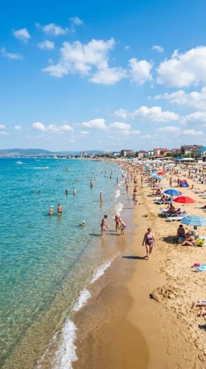 � ������ ����� ������� ���� ������������� ���������� ������