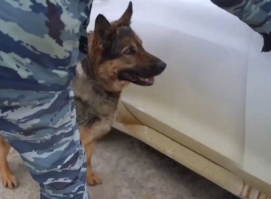 ��������� ������� ������ ������������-������� � 5 �� ����� ��� ��������