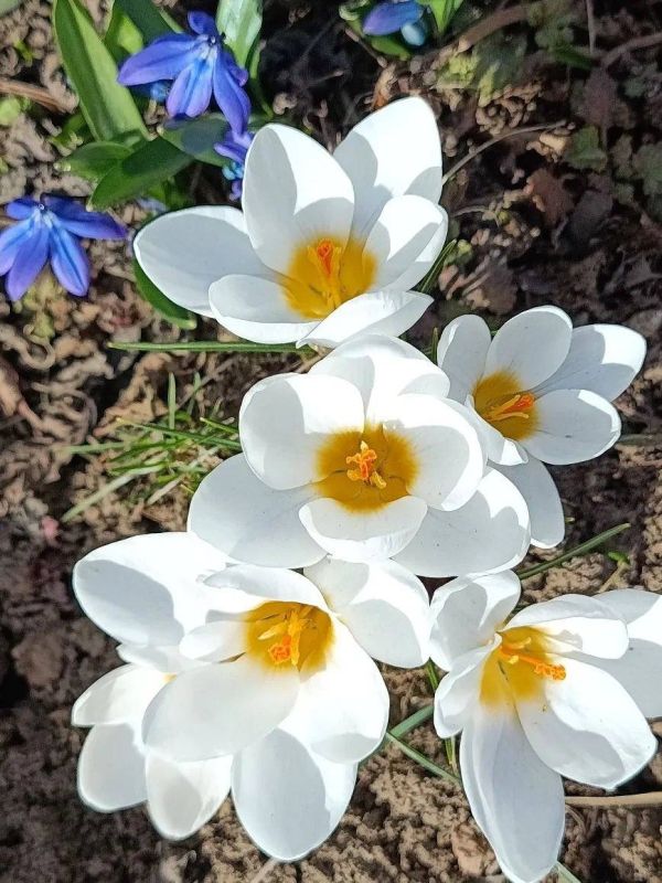 �������� ����� �������� �� ������� �� ����� �����������, �� ����� ��� � �����!