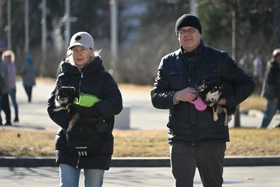 Климатолог рассказал, когда в Ростов придёт настоящая весна