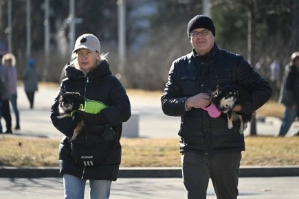 ���������� ���������, ����� � ������ ����� ��������� �����