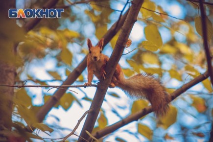 ������ 19 �����: ����� � �������