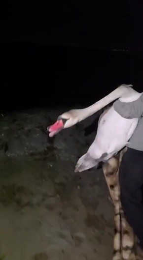 ������ � ������������ ������ ���������� � ����� � ��������