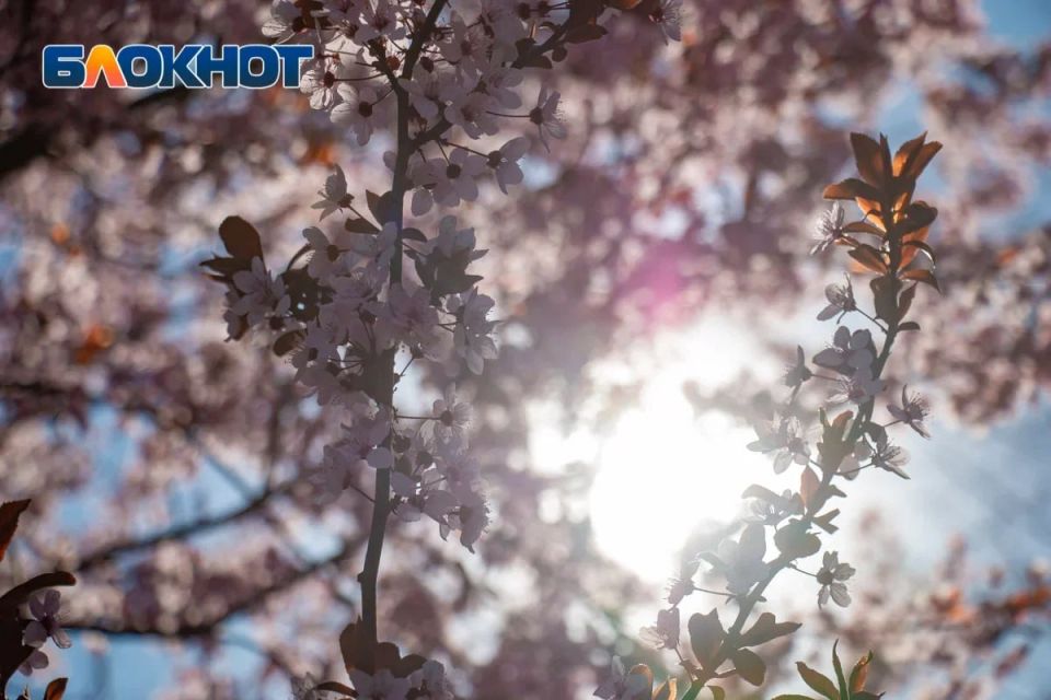 Что нельзя делать в день весеннего равноденствия