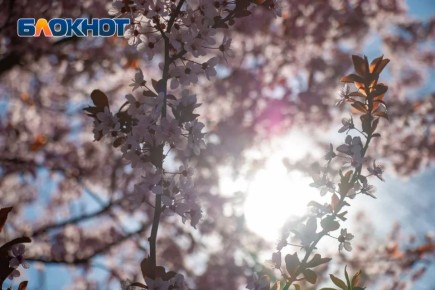 Что нельзя делать в день весеннего равноденствия