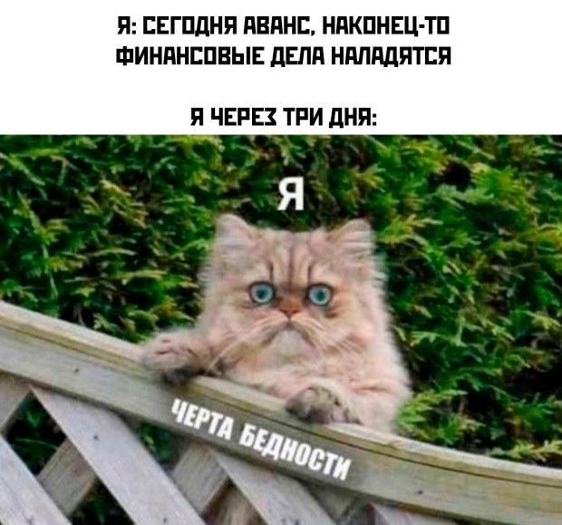 � ������� ���������� ������ ���������� �� ������� �� �������������