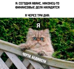 В Госдуме предложили ввести самозапрет на покупки на маркетплейсах