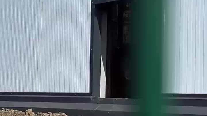 Спасённая медведица Маша поселилась в вольере с японскими макаками