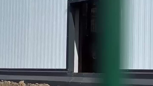 Спасённая медведица Маша поселилась в вольере с японскими макаками