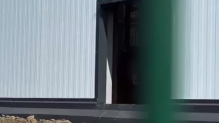 Спасённая медведица Маша поселилась в вольере с японскими макаками