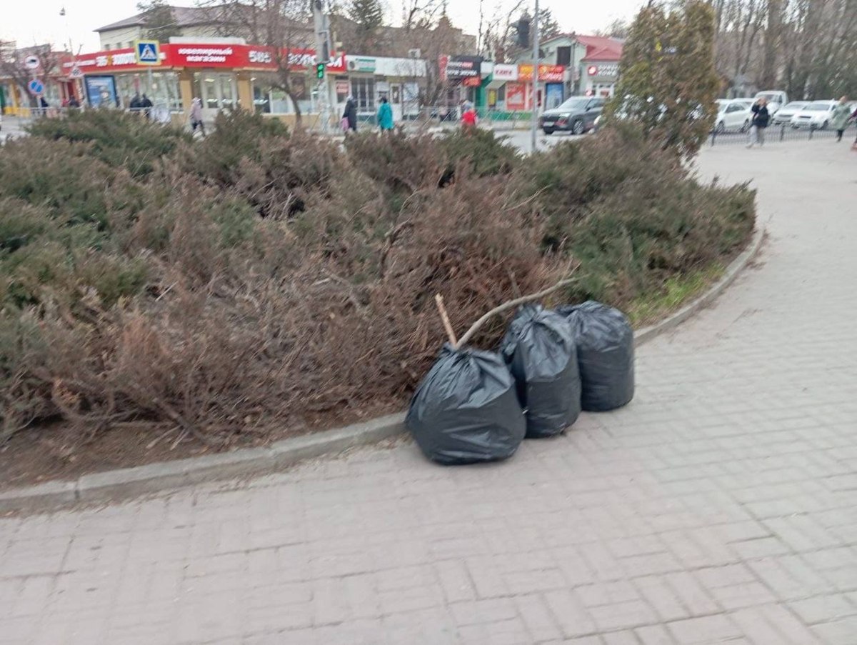 Батайский бизнес присоединился к месячнику чистоты Батайский бизнес присоединился к месячнику чистоты