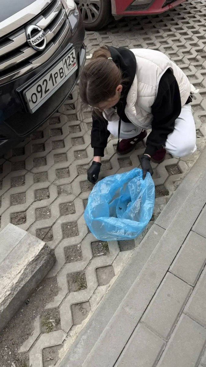 Батайский бизнес присоединился к месячнику чистоты Батайский бизнес присоединился к месячнику чистоты