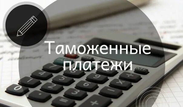 Об итогах работы Южной транспортной прокуратуры в сфере взыскания и погашения задолженности по уплате таможенных платежей, утилизационного сбора, противодействия незаконному ввозу и обороту контрафактных и санкционных товаров