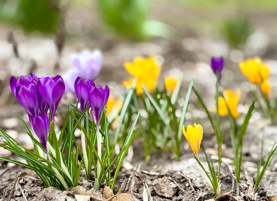 ���������� �� +20 �� ����� � ���������� ������� �� ����� ������