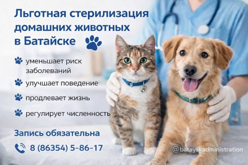26 марта в Батайске пройдёт день льготной стерилизации животных