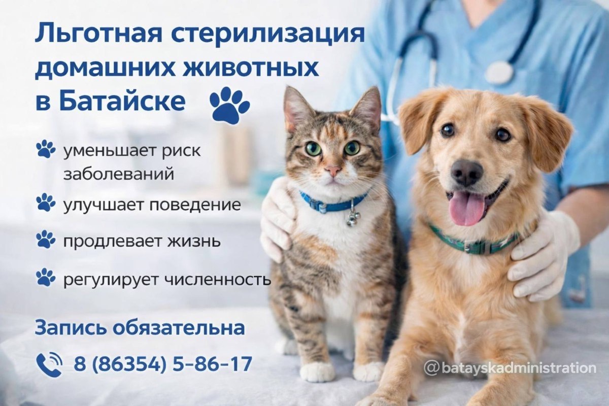 26 марта в Батайске пройдёт день льготной стерилизации животных
