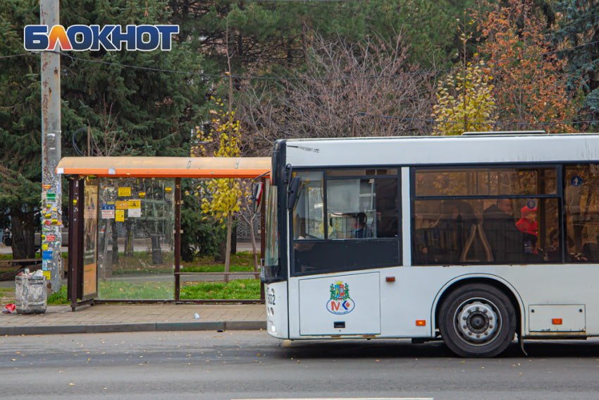 Эксперт: причина проблем с автобусами в Ростове – непонимание властей