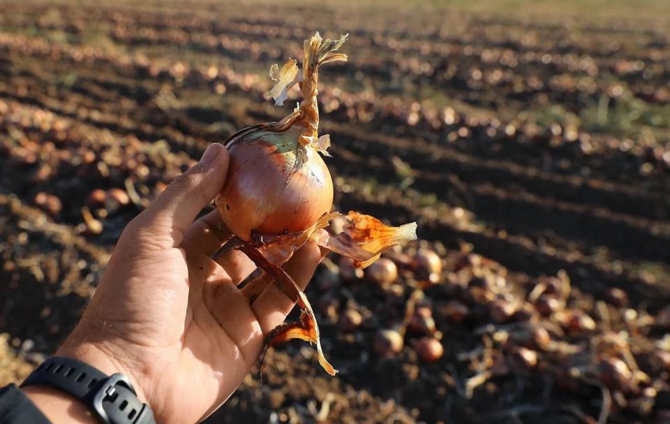 ������������ ��������� ���� � ������ � 2025 ���� ����� �� ����������, �� ��� ���������� ������� ������� ����� �������� ��������� �� ���� �������� ����������� �� ������� ������ ����� ��������, ������� �� ������ ���-������ �...