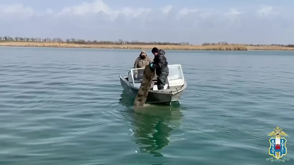 ���������� �������������: �� ���� 9 ����� ����� ������ �� �������������� �����