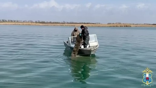 ���������� �������������: �� ���� 9 ����� ����� ������ �� �������������� �����