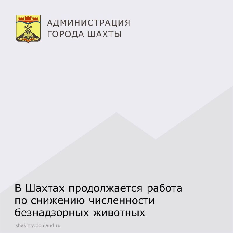 � ������ ���������� ���� �� �������� ����������� ��������� ��������