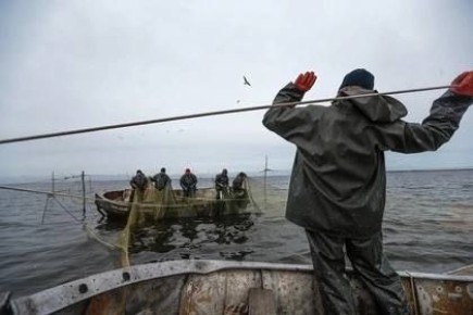 ������ ������ ���������� ����� ���������� ��������� ���� �� ���� ����������