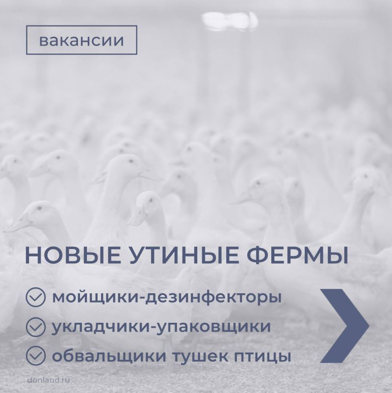 ���������� ������������ � ���������� ������� ��������