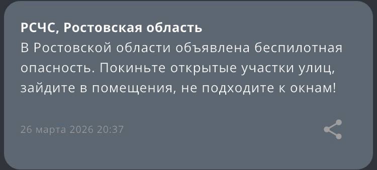 Шимпанзе-художник Майкл отметил 21-й день рождения Шимпанзе-художник Майкл отметил 21-й день рождения