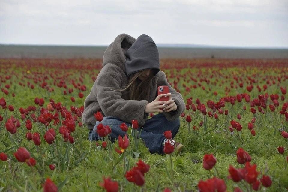 � ���������� ������� � 14-� ��� ������� ��������� ��������� ��������� ������