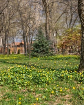 ������ ����, ������! ������ ����������, ��� ����������� ������� � ����� �����