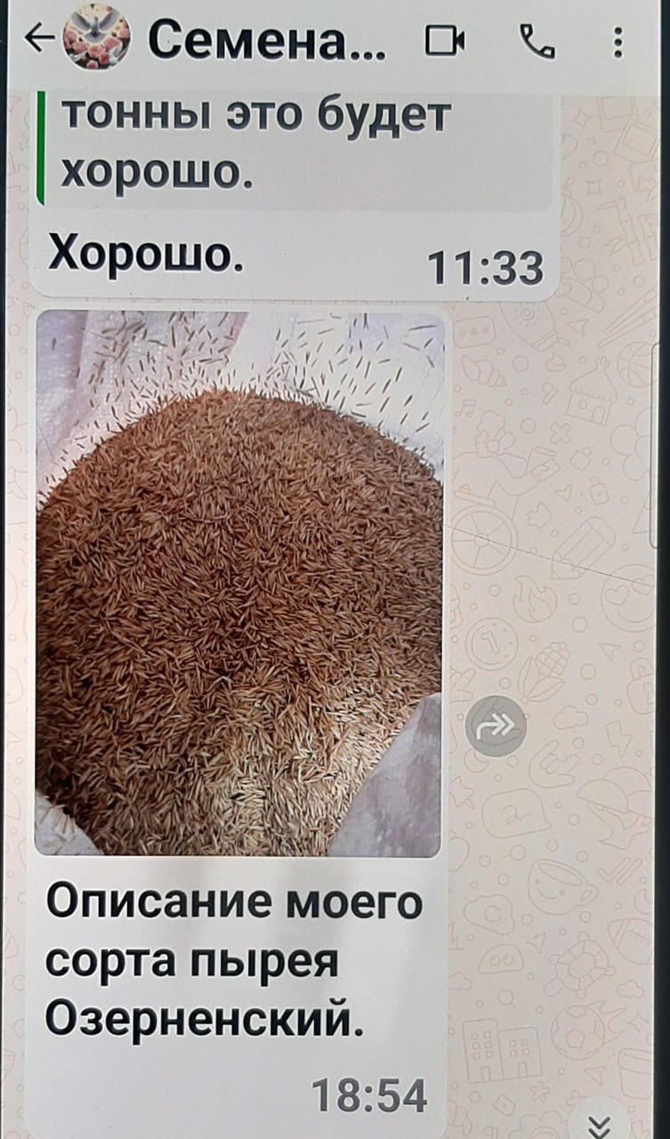 В Тацинском районе фермер при заказе семян стал жертвой мошенников В Тацинском районе фермер при заказе семян стал жертвой мошенников