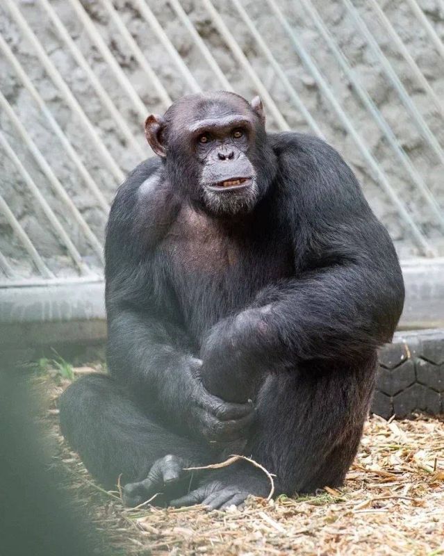 � ���������� �������� �������� ���������� 21 ���