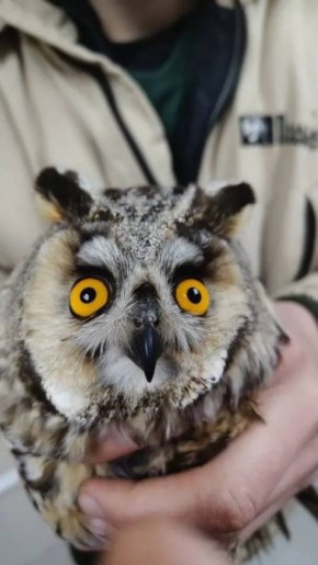 �� �������� � � ��������: ������� ������� ����