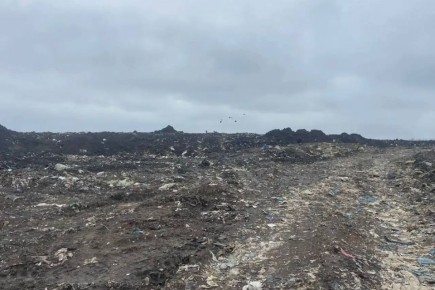 ���������� �� ���������� �������� �������� ��������� �������������