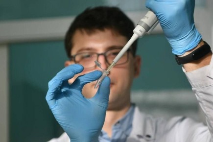 Ростовские ученые получили косметический коллаген из медуз