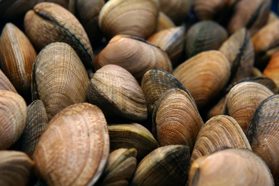 � �������� ���� � 2026 ���� ������� 3 ����� ���� �������� ��������