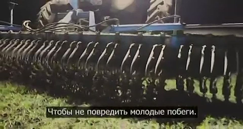 ���� �������: ���� ������� ������ ��� ��������� ��� �������� ������