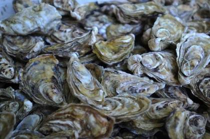 Новый деликатесный моллюск заполнил Азовское море