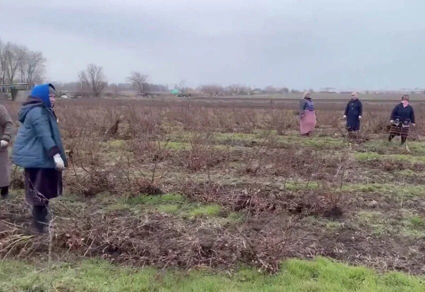 � ����� ��� ������ ������ ������ �� �������� ���������