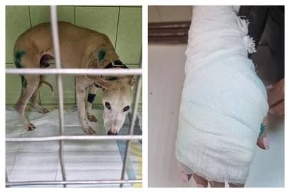 ������ �� �����, ����� ������� ����� ����: ����������� ����������, ��� �������� ��� ������ �� ��� � �����