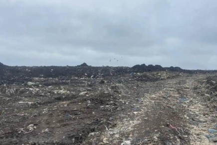 ��������������� ������� 367 ��������� � ������� ������������ ���������-���� �� ���� ������