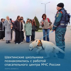 Шахтинская некоммерческая организация «Всероссийское добровольное пожарное общество» при поддержке Фонда президентских грантов реализует проект «Школа юного спасателя: практическая подготовка подростков к действиям в...