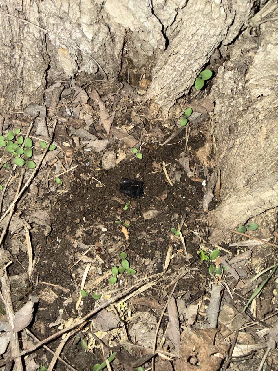 Новочеркасские оперативники пресекли сбыт наркотиков на территории города