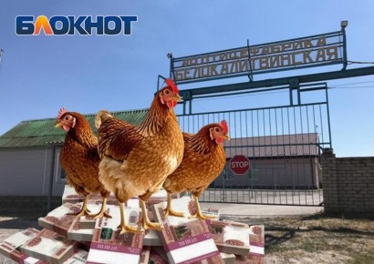 ���������� ������� � ���������� � ������������� ����������������� ��������� ���� ������� ��� �������