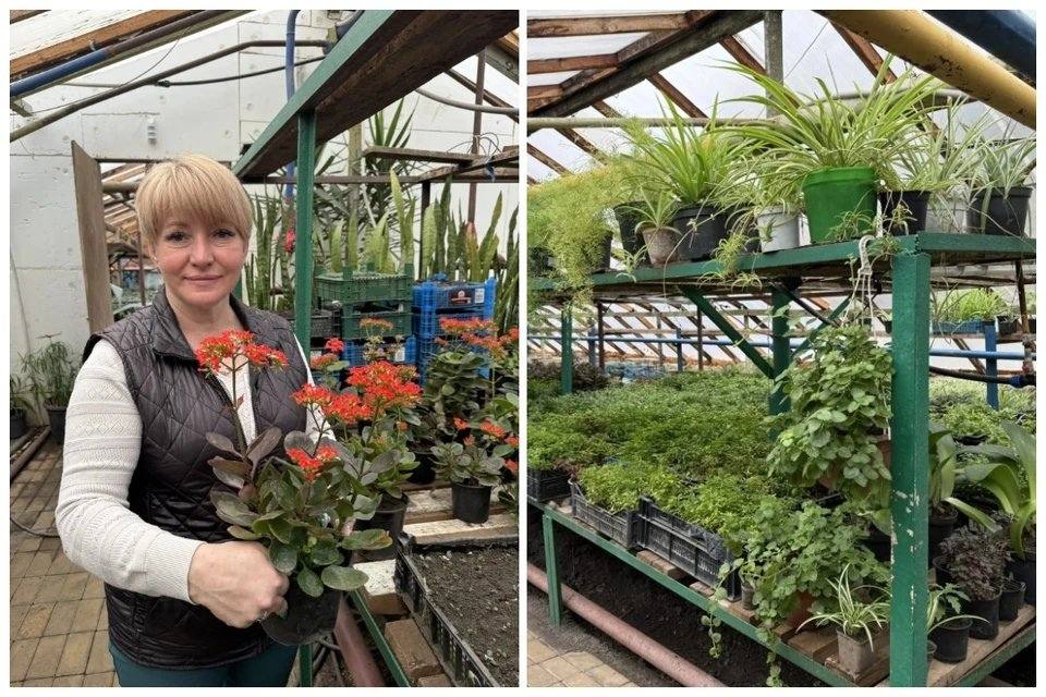 Традиция цветочной «письменности» на главной клумбе парка имени Максима Горького зародилась ещё в 1940-х годах Традиция цветочной «письменности» на главной клумбе парка имени Максима Горького зародилась ещё в 1940-х годах