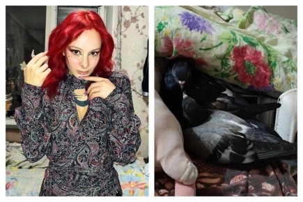 ����������� �������� ���� �� ���� � ������ ��� �������� ��������